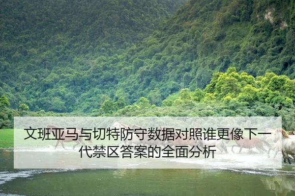 文班亚马与切特防守数据对照谁更像下一代禁区答案的全面分析