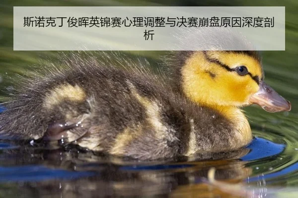 si-nuo-ke-ding-jun-hui-ying-jin-sai-xin-li-tiao-zheng-yu-jue-sai-beng-pan-yuan-yin-shen-du-pou-xi-3-928.jpg