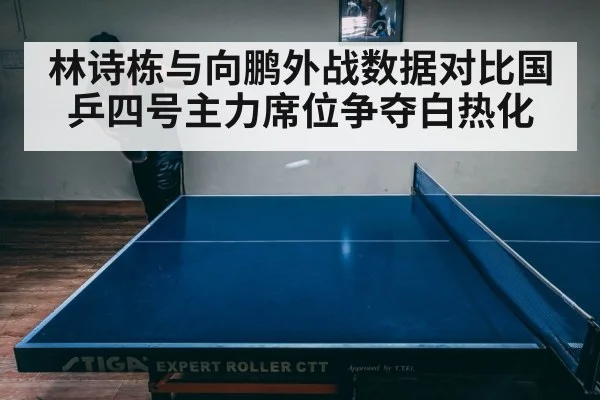 林诗栋与向鹏外战数据对比国乒四号主力席位争夺白热化